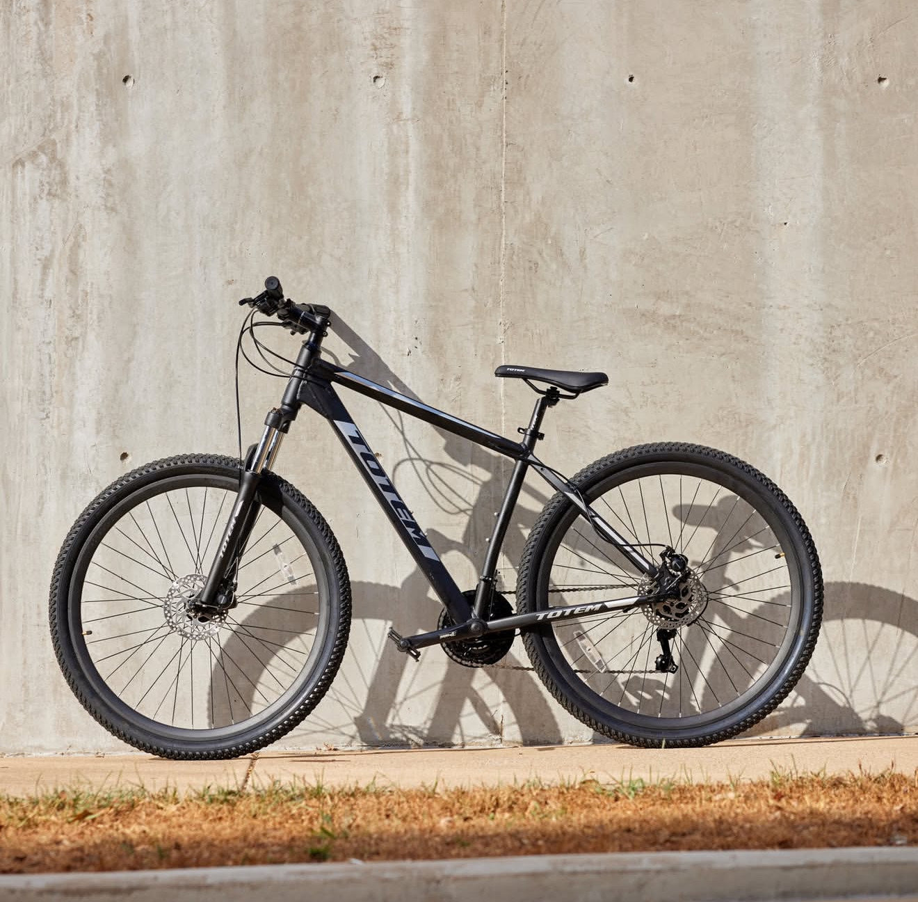 BICICLETA TOTEM 29 NOVA X - 1x12s