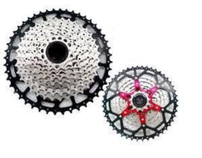 Piñon Skifull CASSETTE 12v 11-52T