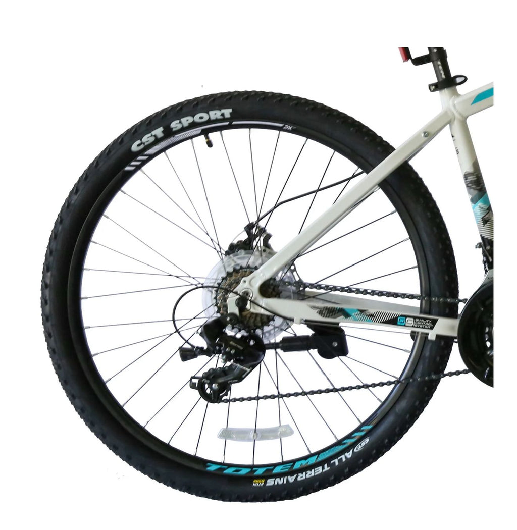 BICICLETA TOTEM 29 PREDATOR - 3x7s