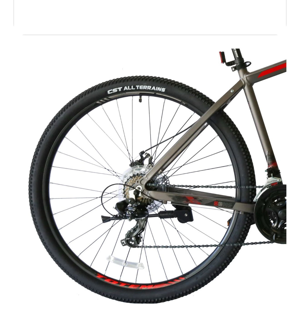 BICICLETA TOTEM 29 PREDATOR - 3x7s