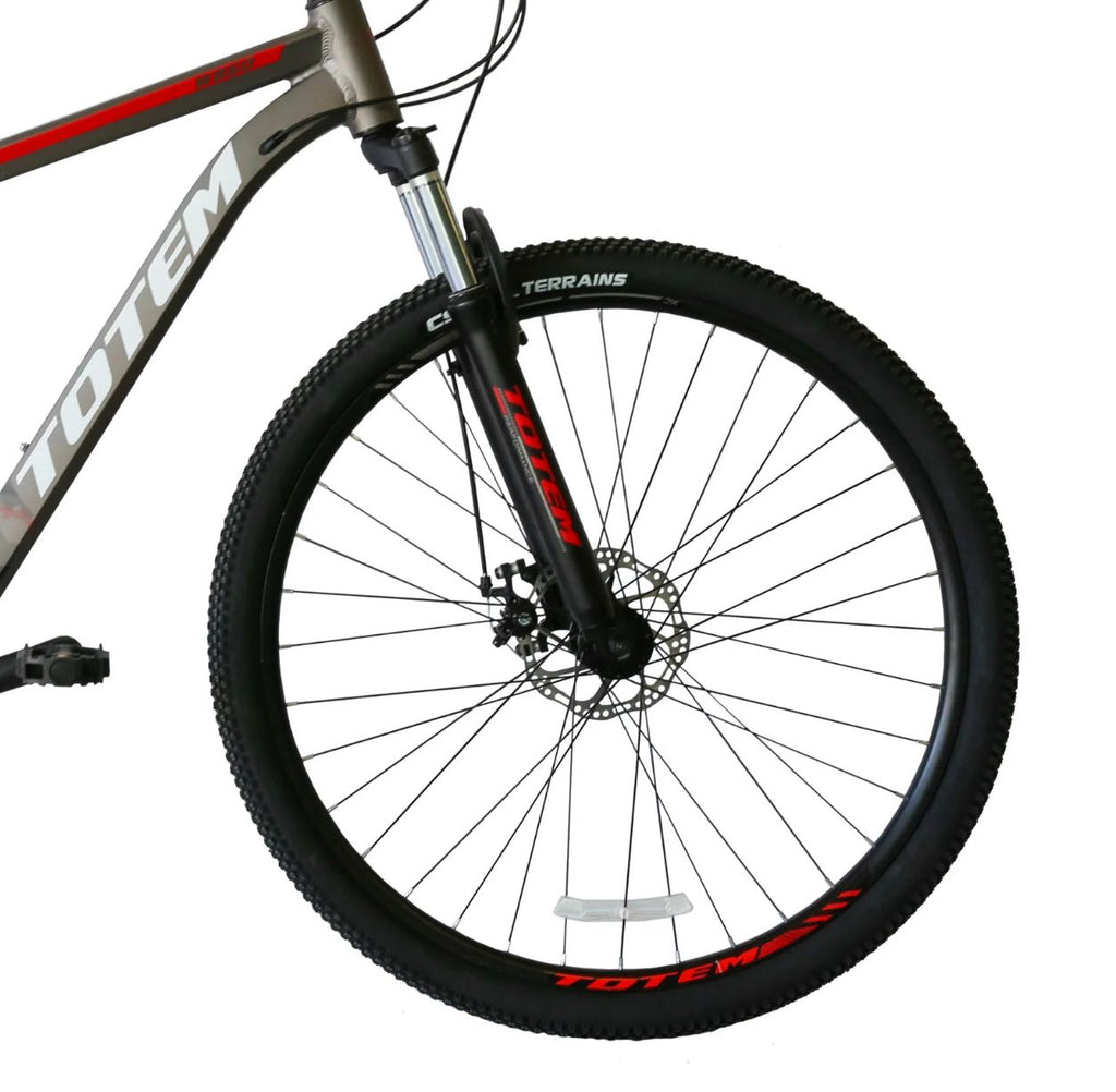 BICICLETA TOTEM 29 PREDATOR - 3x7s