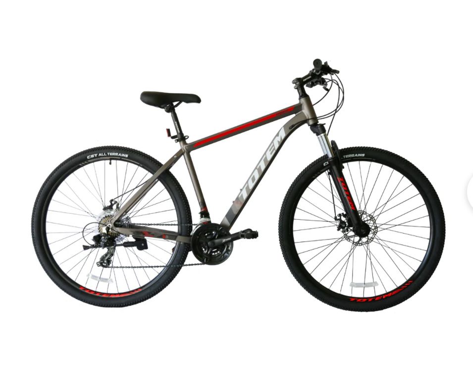 BICICLETA TOTEM 29 PREDATOR - 3x7s